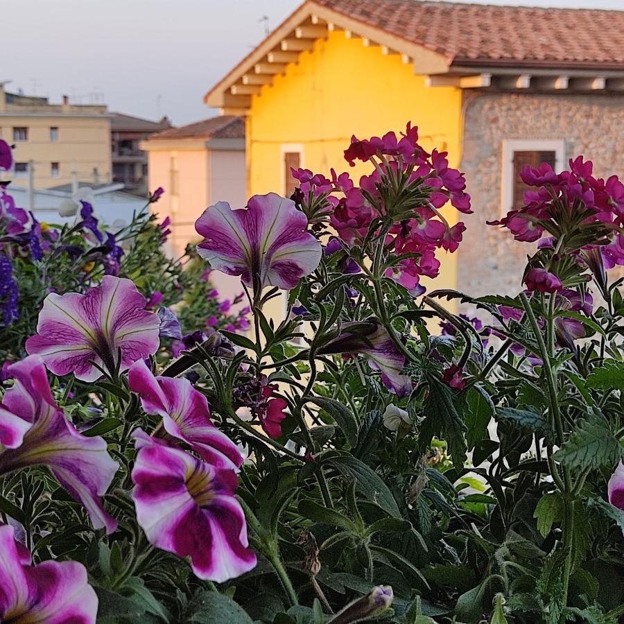 Lovely Casa Paola Villlafranca Centro Zimmer Rooms Villafranca di Verona Buitenkant foto